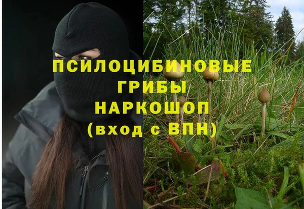 бутират Армянск