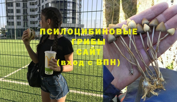 не бодяженный Арсеньев