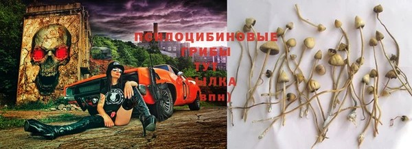 не бодяженный Арсеньев