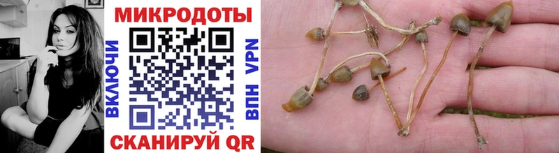 сколько стоит  Волгоград  Псилоцибиновые грибы ЛСД 
