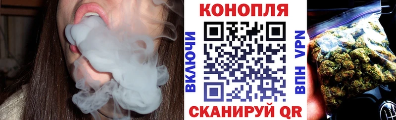 Бошки марихуана индика  магазин  наркотиков  Волгоград 